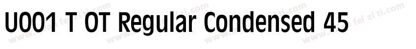 U001 T OT Regular Condensed 45991字体转换
